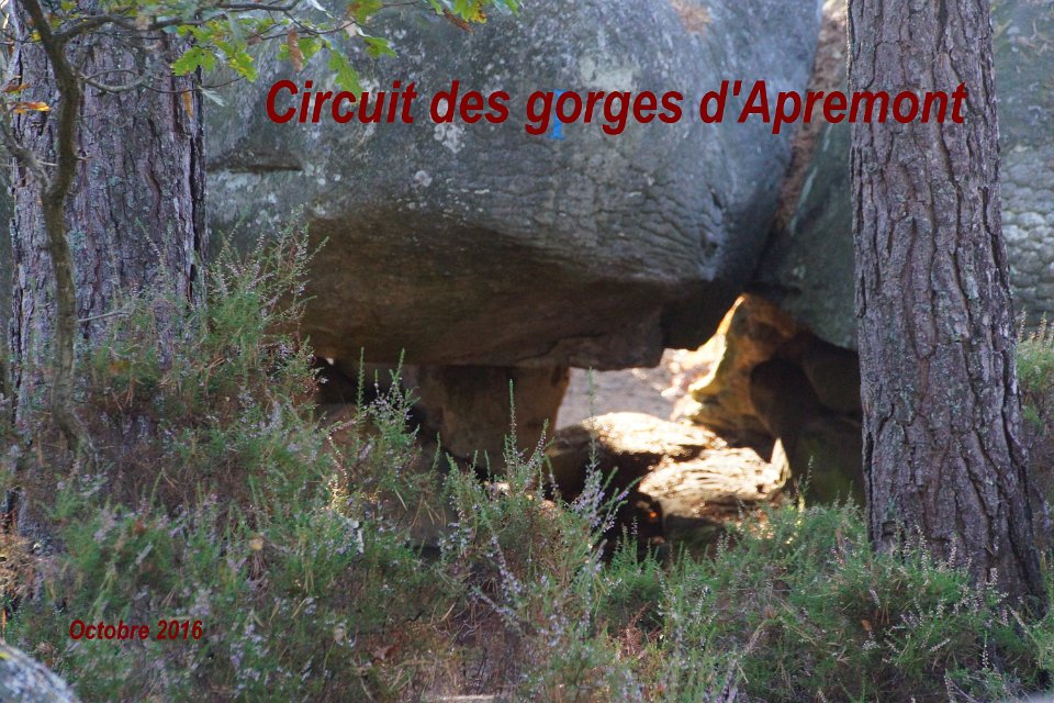 Circuit des coteaux de la Juine